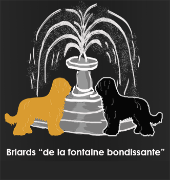 Briards – De la Fontaine Bondissante
